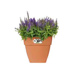 Elho pot vibia campana vierkant 30cm terra - afbeelding 4