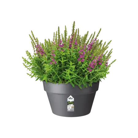 Elho schaal loft urban 35cm antraciet - afbeelding 3