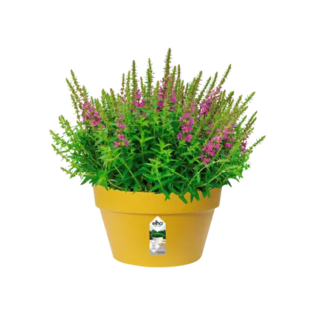 Elho schaal loft urban d35cm oker - afbeelding 3
