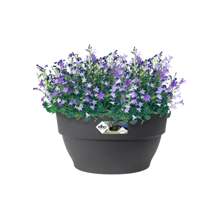 Elho schaal vibia campana d27cm antraciet - afbeelding 3