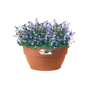Elho schaal vibia campana d27cm terra - afbeelding 3