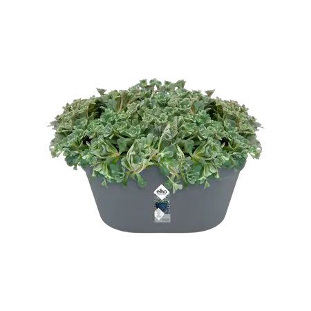 Elho wandbak loft urban 40cm antraciet - afbeelding 3
