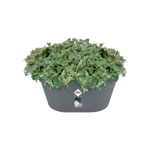Elho wandbak loft urban 40cm antraciet - afbeelding 3