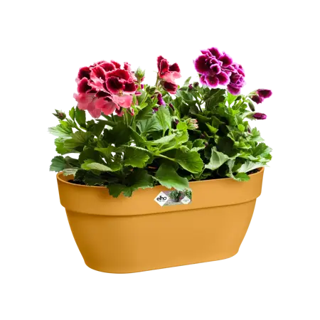 Elho wandpot vibia campana 35cm honinggeel - afbeelding 4