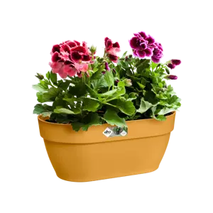 Elho wandpot vibia campana 35cm honinggeel - afbeelding 4