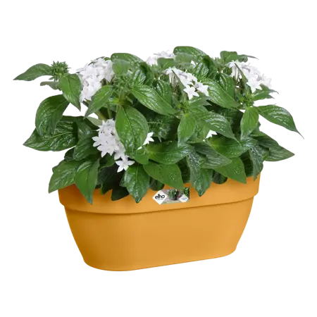 Elho wandpot vibia campana 35cm honinggeel - afbeelding 5