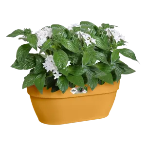 Elho wandpot vibia campana 35cm honinggeel - afbeelding 5