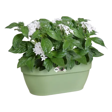 Elho wandpot vibia campana 35cm pistache groen - afbeelding 5
