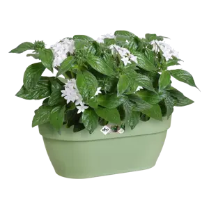 Elho wandpot vibia campana 35cm pistache groen - afbeelding 5