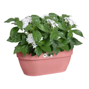 Elho wandpot vibia campana 35cm poederroze - afbeelding 4