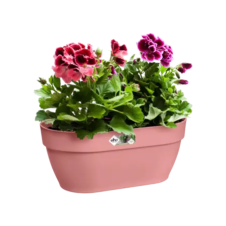Elho wandpot vibia campana 35cm poederroze - afbeelding 5