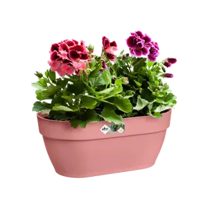 Elho wandpot vibia campana 35cm poederroze - afbeelding 5