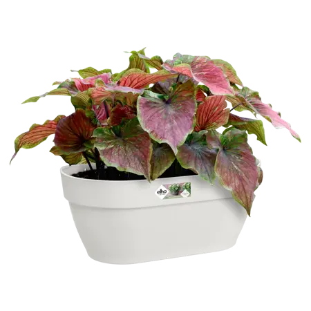 Elho wandpot vibia campana 35cm zijdewit - afbeelding 4