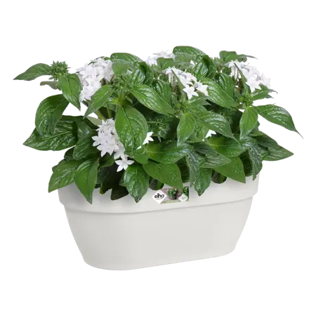 Elho wandpot vibia campana 35cm zijdewit - afbeelding 5