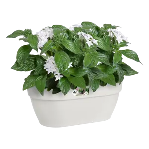 Elho wandpot vibia campana 35cm zijdewit - afbeelding 5