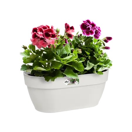 Elho wandpot vibia campana 35cm zijdewit - afbeelding 6