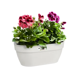 Elho wandpot vibia campana 35cm zijdewit - afbeelding 6