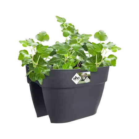 Elho wandpot vibia campana flower bridge 40cm antraciet - afbeelding 4