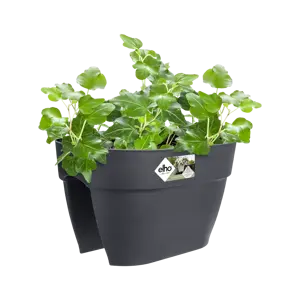 Elho wandpot vibia campana flower bridge 40cm antraciet - afbeelding 4