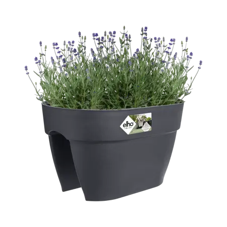 Elho wandpot vibia campana flower bridge 40cm antraciet - afbeelding 6