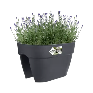 Elho wandpot vibia campana flower bridge 40cm antraciet - afbeelding 6