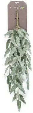 Eucalyptus hangend 75cm groen