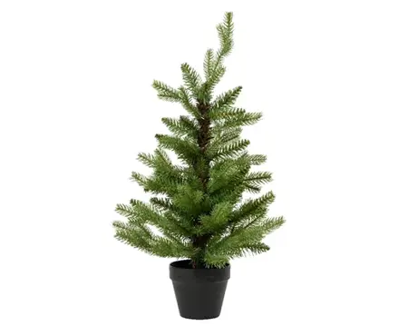  Everlands Allison mini boom 90cm groen
