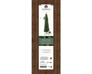 Everlands Pencil pine 180cm groen verpakking
