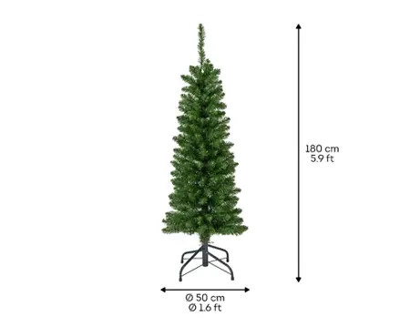 Everlands Pencil pine 180cm groen hoogte