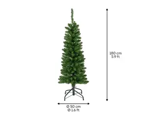 Everlands Pencil pine 180cm groen hoogte
