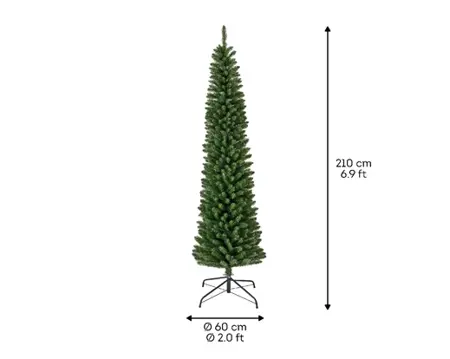 Everlands Pencil pine 210cm groen hoogte