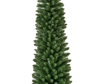 Everlands Pencil pine 240cm groen detail