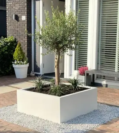 GLM Plantenbak Lyon zonder bodem 75x75x40cm