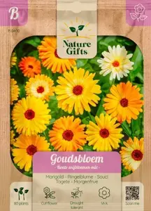 Goudsbloem bonte snijbloemenmix per 80st