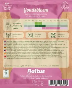 Goudsbloem bonte snijbloemenmix per 80st - afbeelding 2