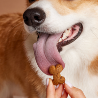 Hondensnacks