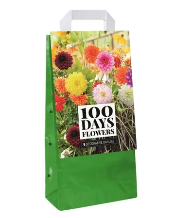 JUB Tas dahlia deco mix 5st