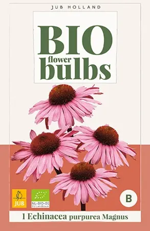 JUB x1 Bio echinacea purpurea magnus