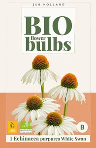 JUB x1 Bio echinacea purpurea white swan