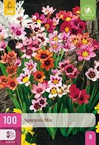 JUB x100 Sparaxis mix