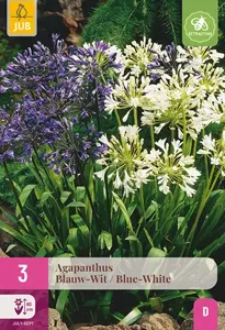 JUB x3 Agapanthus blauw/wit