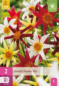 JUB x3 Dahlia honka mix