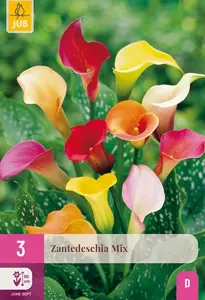 JUB x3 Zantedeschia mix