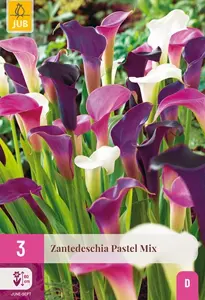 JUB x3 Zantedeschia pastel mix
