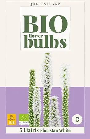 JUB x5 Bio liatris floristan white