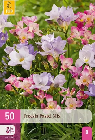 JUB x50 Freesia pastel mix