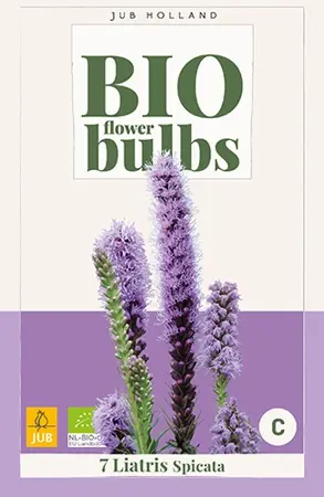 JUB x7 Bio liatris spicata