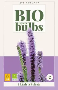 JUB x7 Bio liatris spicata
