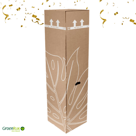 Kamerplant Cadeau Box Gefeliciteerd - Lichtroze Anthurium Doos
