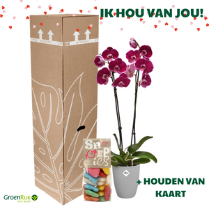 Kamerplant Cadeaubox Valentijnsdag - Roze Orchidee